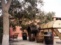 Pipones and botijas
