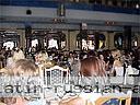 women tour yalta 0704 30